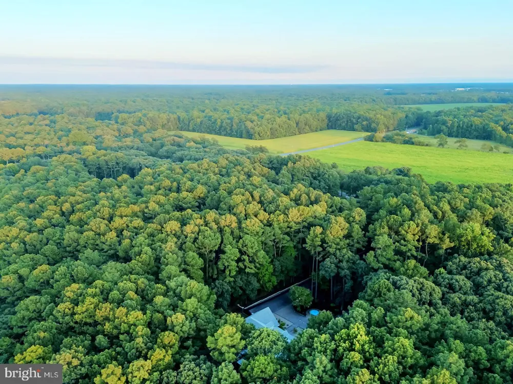 22095 WILSON ROAD Georgetown, DE 19947