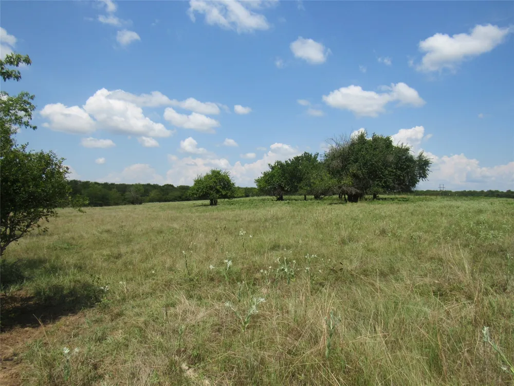 2464 County Rd 1245 Savoy, TX 75479
