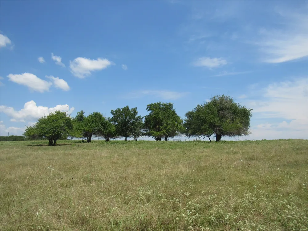2464 County Rd 1245 Savoy, TX 75479
