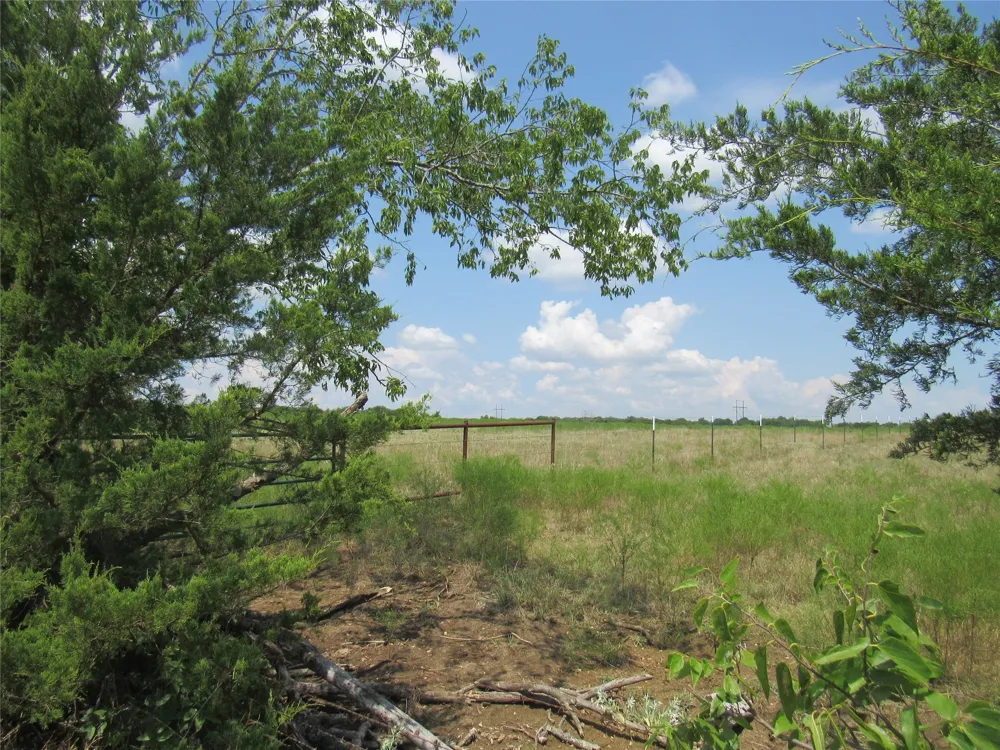 2464 County Rd 1245 Savoy, TX 75479