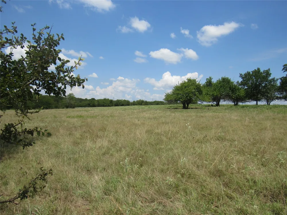 2464 County Rd 1245 Savoy, TX 75479