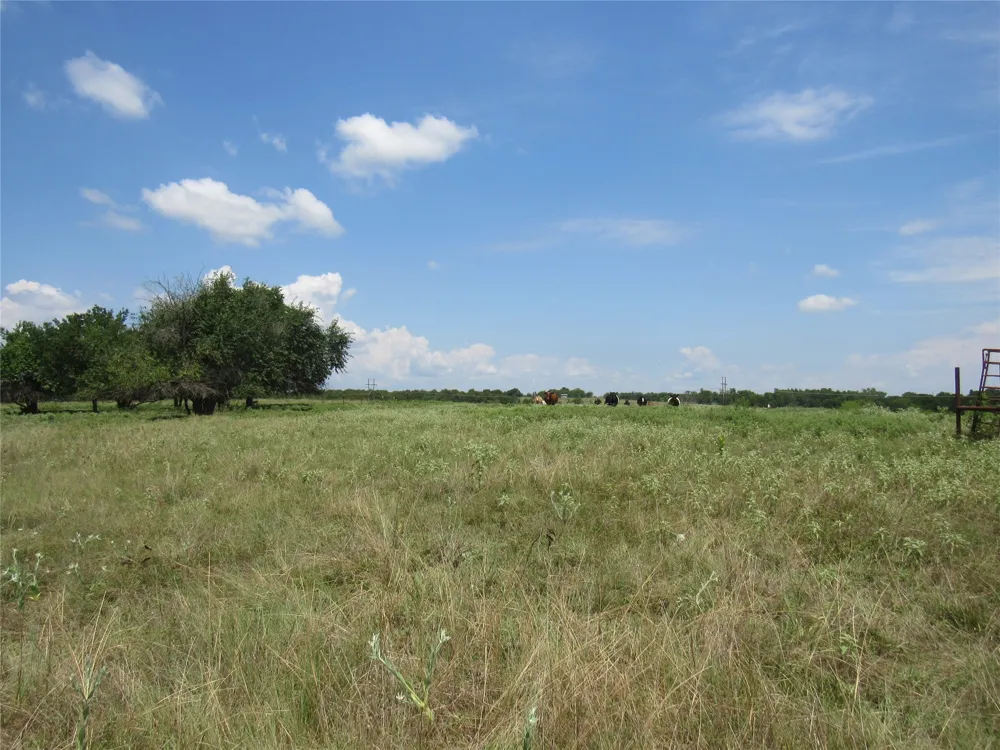 2464 County Rd 1245 Savoy, TX 75479