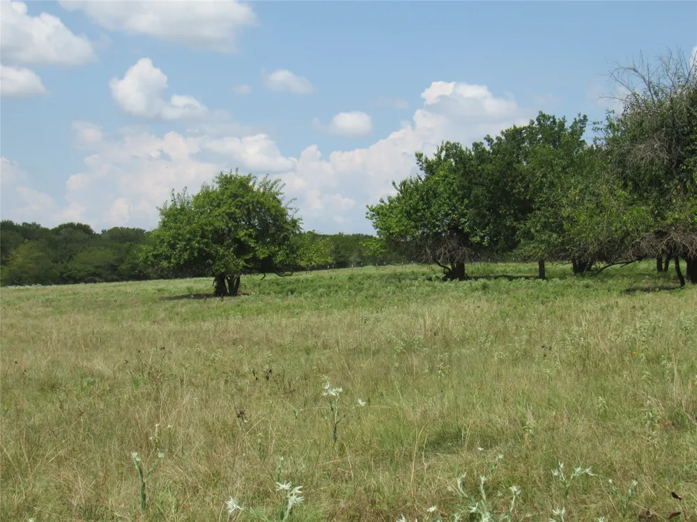 2464 County Rd 1245 Savoy, TX 75479