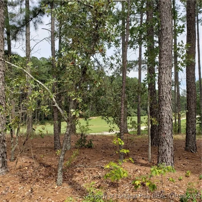 30121 Deercroft Drive Wagram, NC 28396
