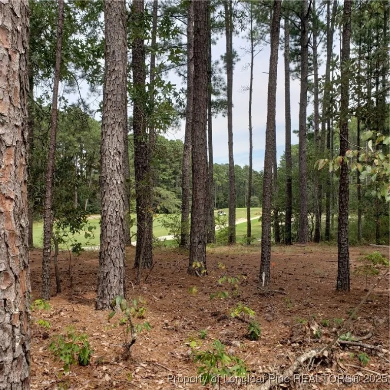 30121 Deercroft Drive Wagram, NC 28396