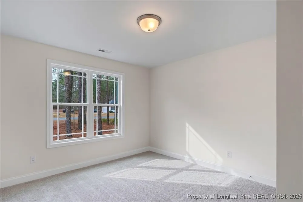 30121 Deercroft Drive Wagram, NC 28396