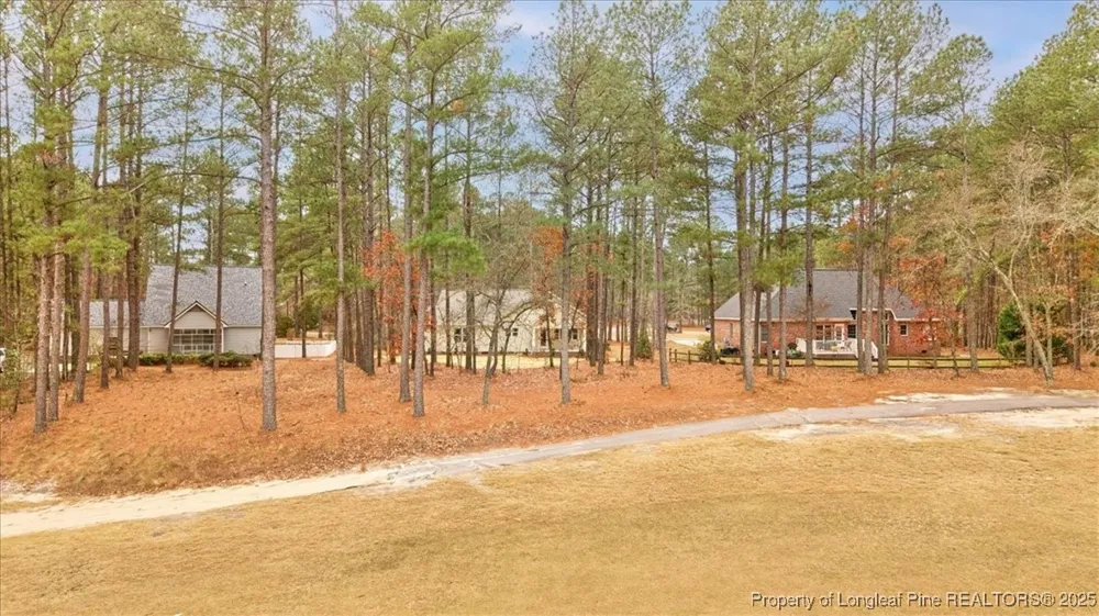 30121 Deercroft Drive Wagram, NC 28396