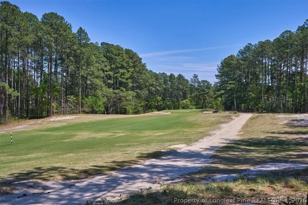 30121 Deercroft Drive Wagram, NC 28396