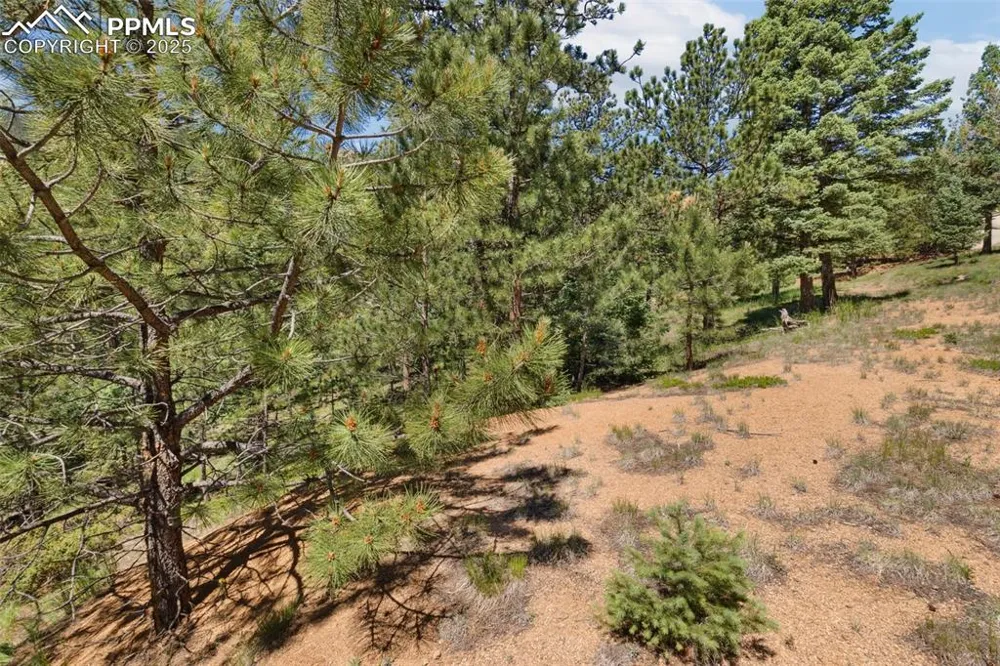 6050 Coffee Pot Road Manitou Springs, CO 80829