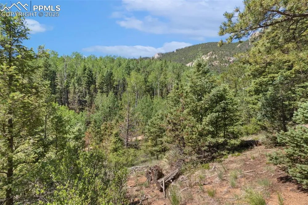 6050 Coffee Pot Road Manitou Springs, CO 80829