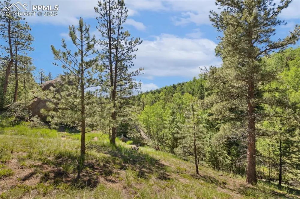 6050 Coffee Pot Road Manitou Springs, CO 80829