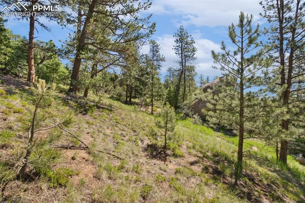 6050 Coffee Pot Road Manitou Springs, CO 80829