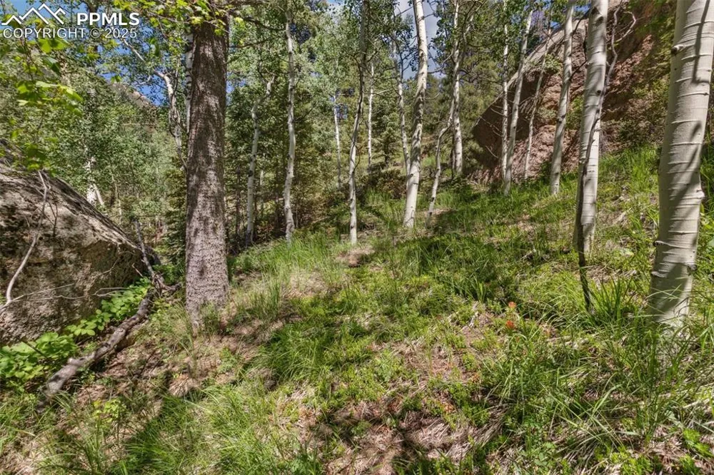6050 Coffee Pot Road Manitou Springs, CO 80829