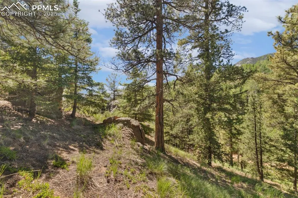 6050 Coffee Pot Road Manitou Springs, CO 80829