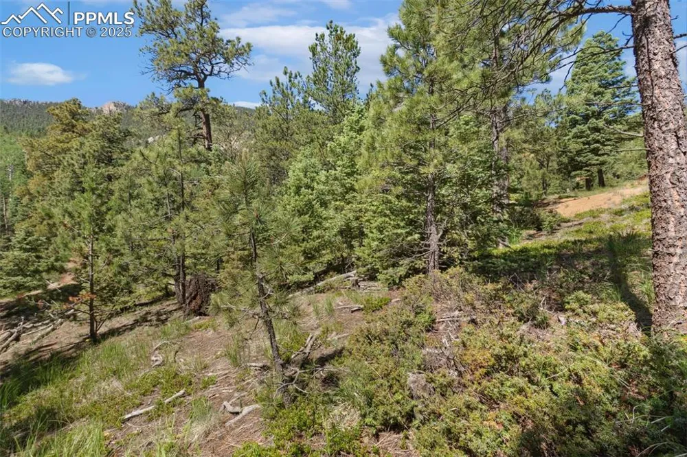 6050 Coffee Pot Road Manitou Springs, CO 80829