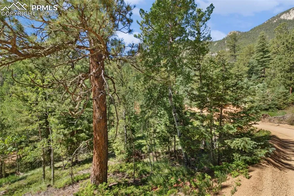 6050 Coffee Pot Road Manitou Springs, CO 80829