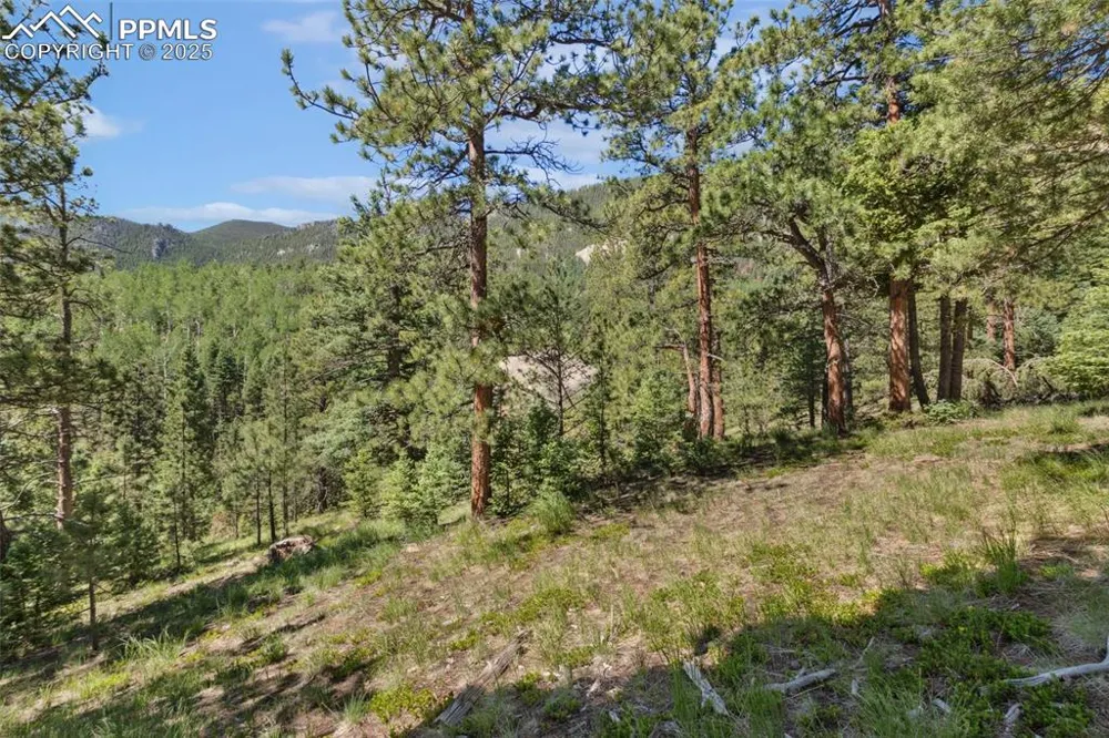 6050 Coffee Pot Road Manitou Springs, CO 80829