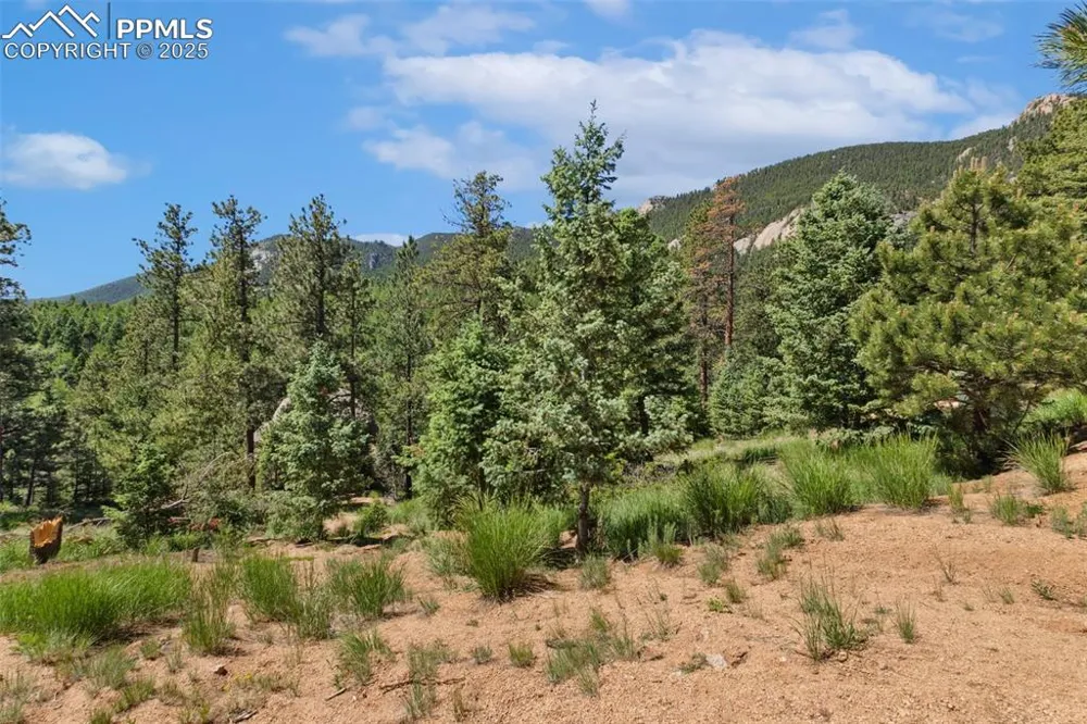 6050 Coffee Pot Road Manitou Springs, CO 80829