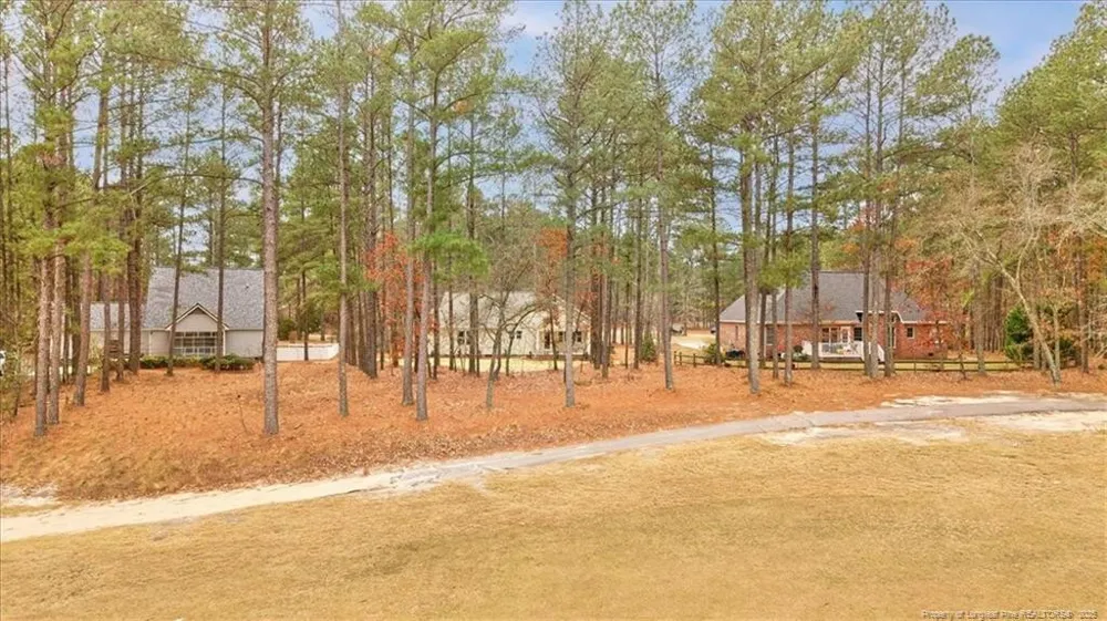30121 Deercroft Drive Wagram, NC 28396