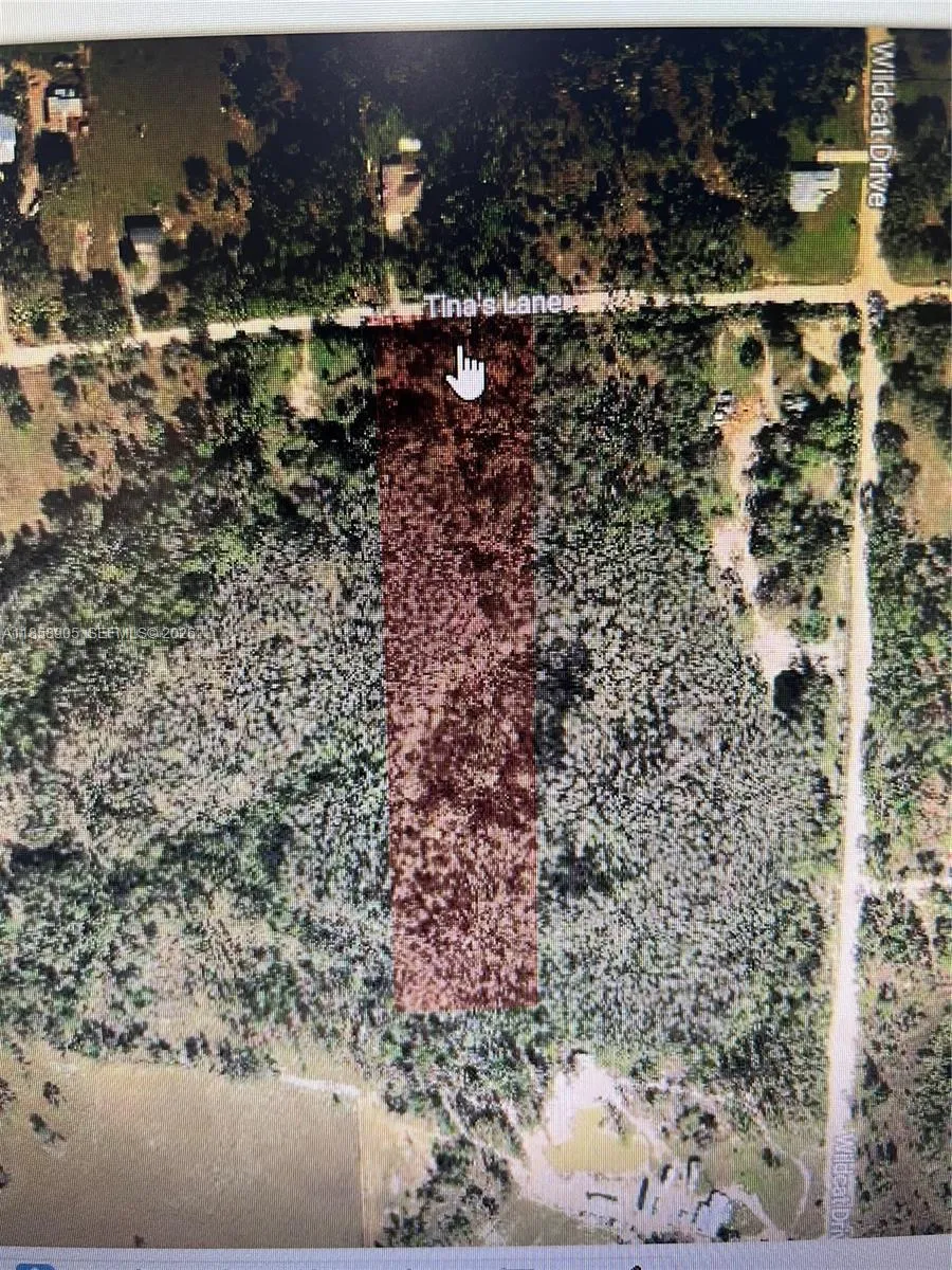 22870 TINAS LANE Fort Myers, FL 33913