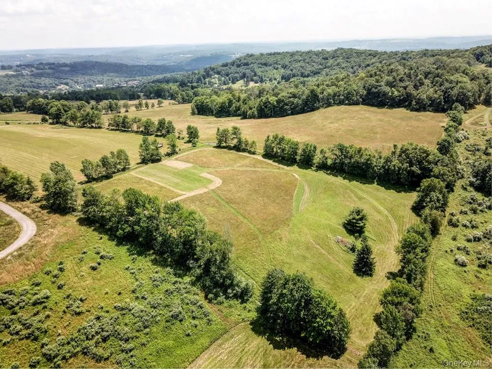 Beechwoods Road Callicoon, NY 12723