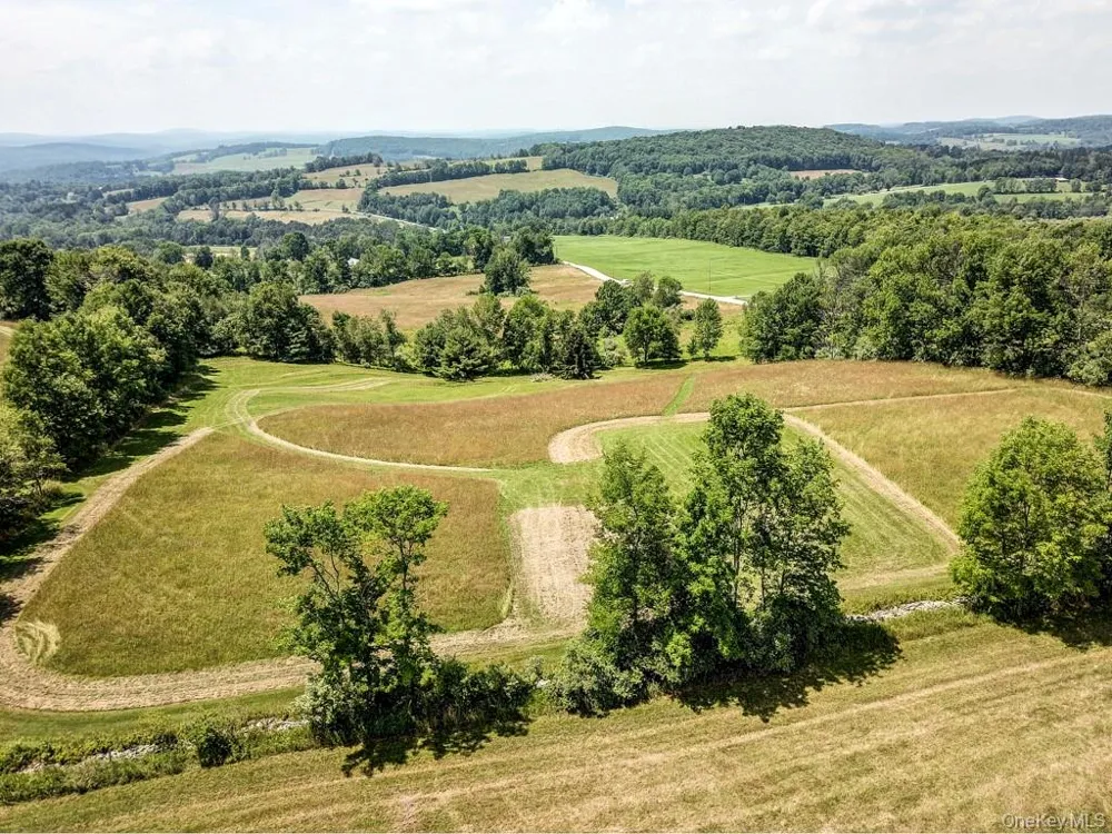 Beechwoods Road Callicoon, NY 12723