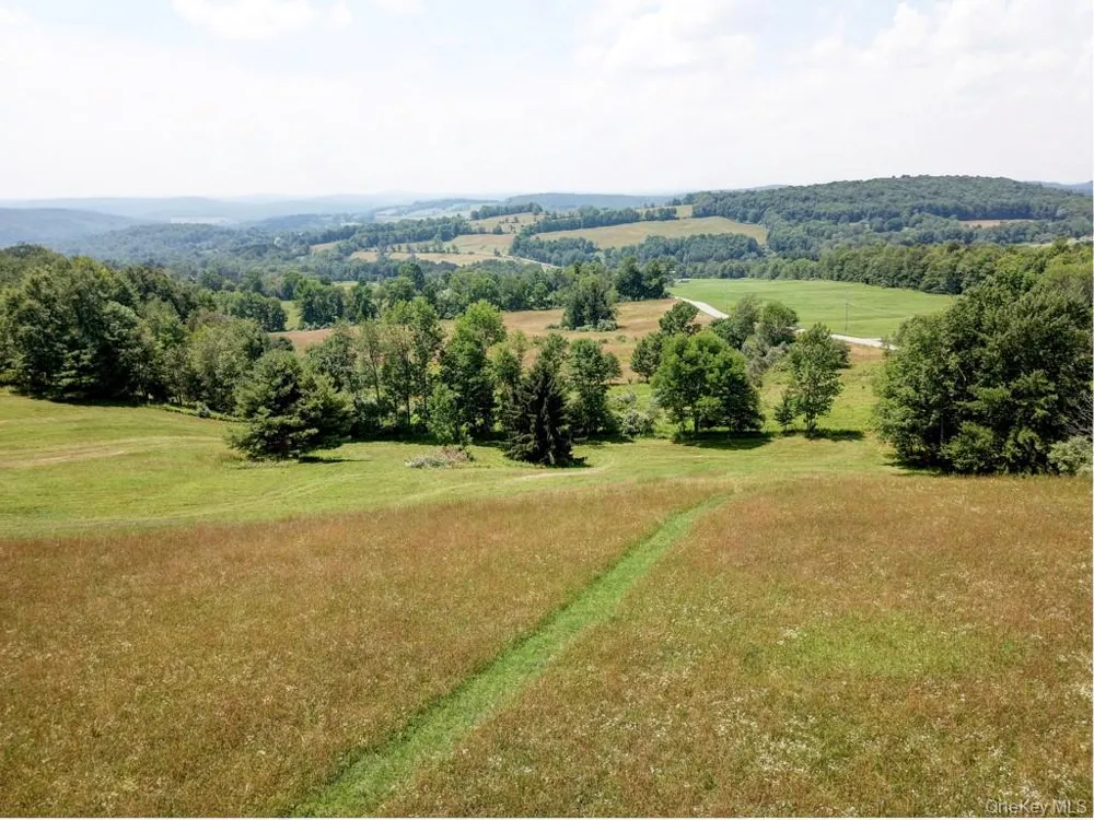 Beechwoods Road Callicoon, NY 12723