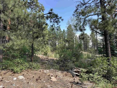 186 Pine Ridge