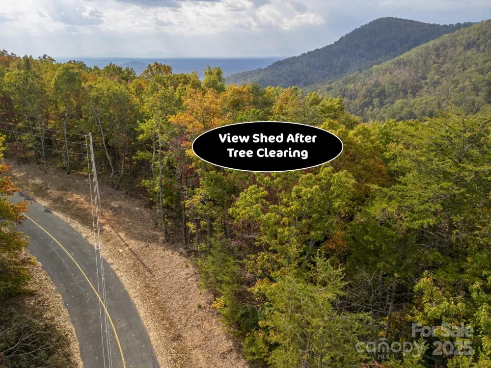 30 Mountain Lookout Drive Bostic, NC 28018