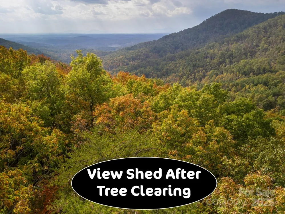 30 Mountain Lookout Drive Bostic, NC 28018
