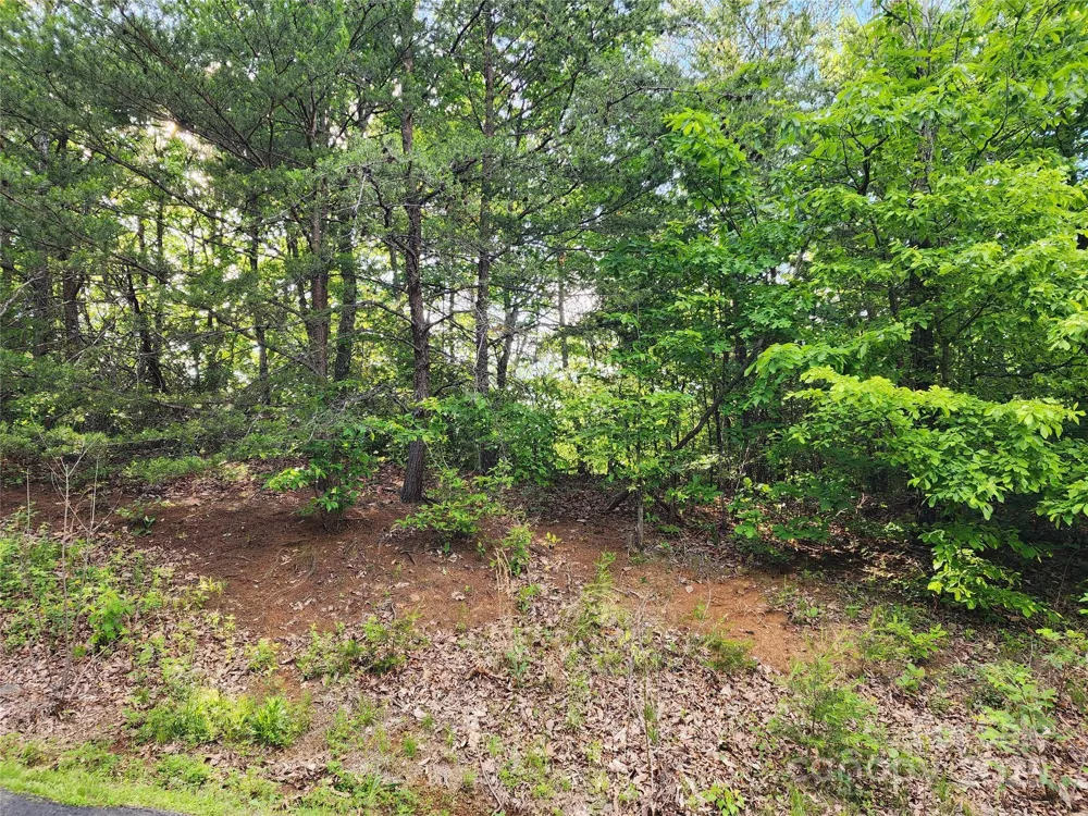 30 Mountain Lookout Drive Bostic, NC 28018