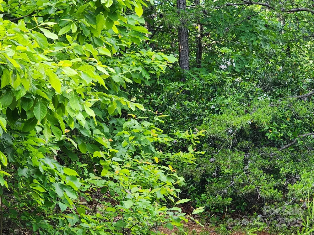 30 Mountain Lookout Drive Bostic, NC 28018