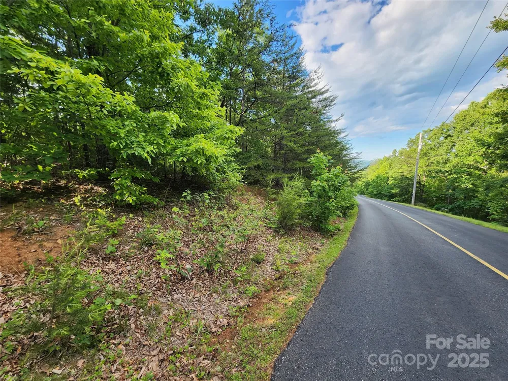 30 Mountain Lookout Drive Bostic, NC 28018