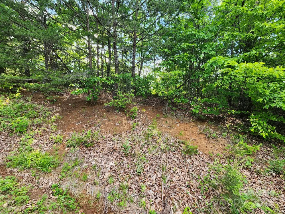 30 Mountain Lookout Drive Bostic, NC 28018
