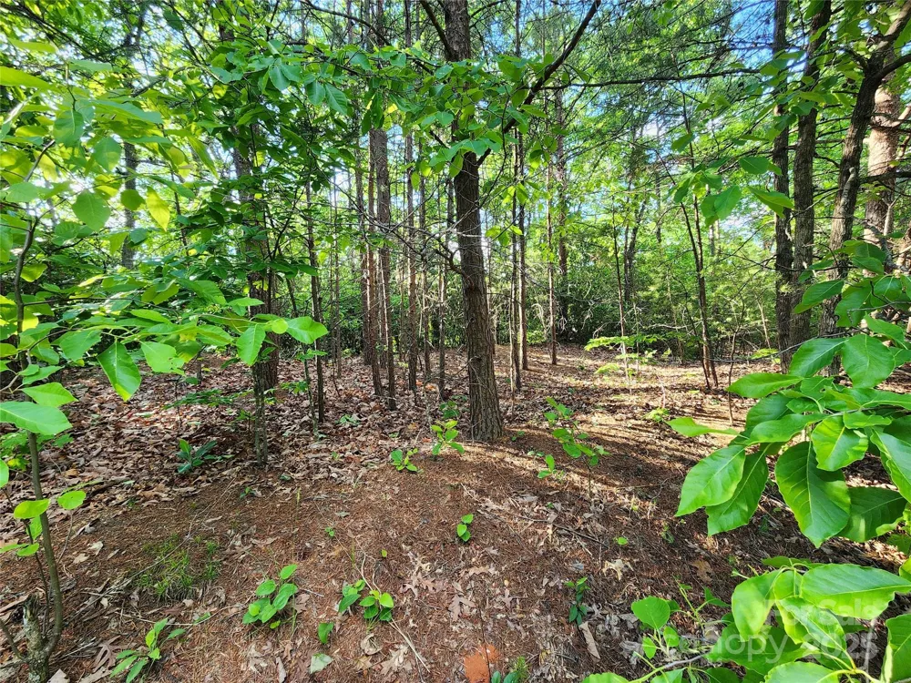 30 Mountain Lookout Drive Bostic, NC 28018