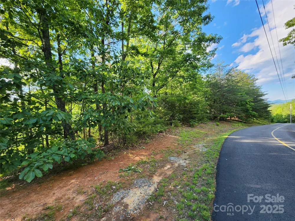 30 Mountain Lookout Drive Bostic, NC 28018