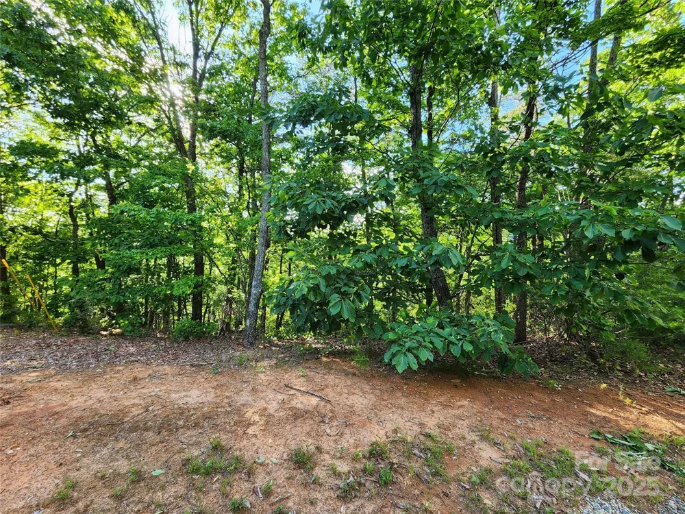 30 Mountain Lookout Drive Bostic, NC 28018