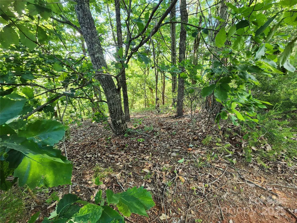 30 Mountain Lookout Drive Bostic, NC 28018