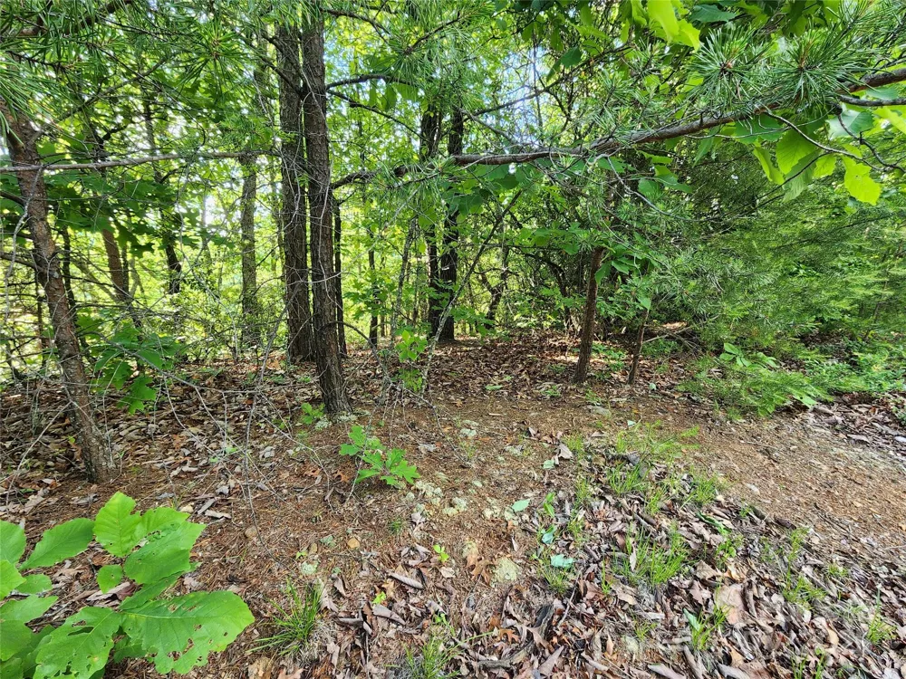 30 Mountain Lookout Drive Bostic, NC 28018
