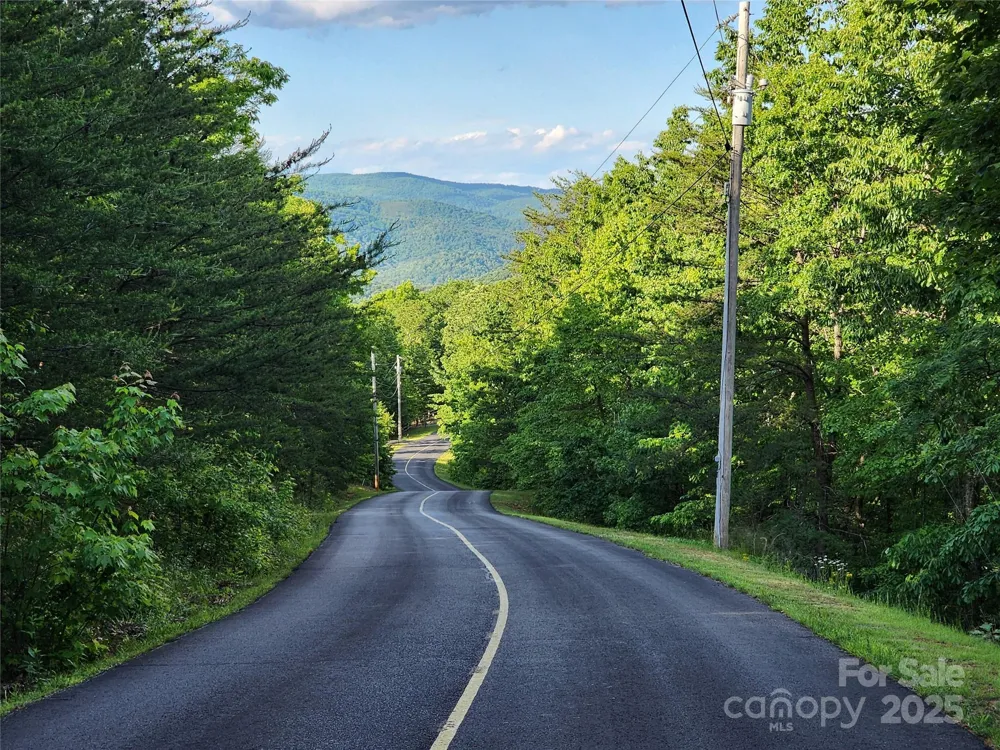 30 Mountain Lookout Drive Bostic, NC 28018