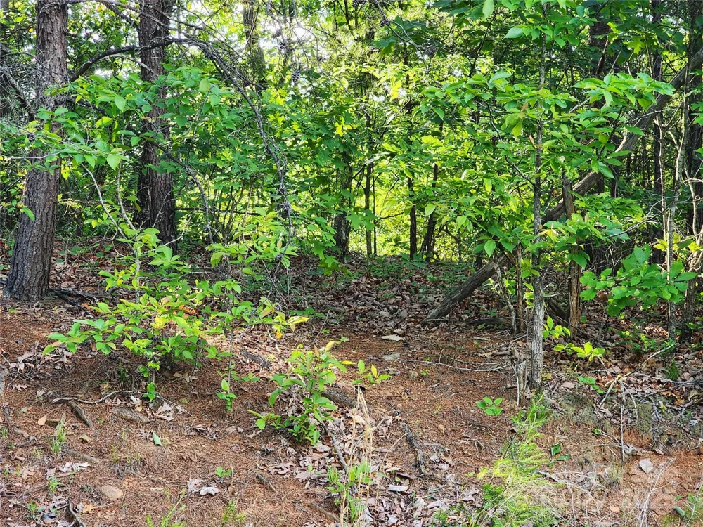 30 Mountain Lookout Drive Bostic, NC 28018