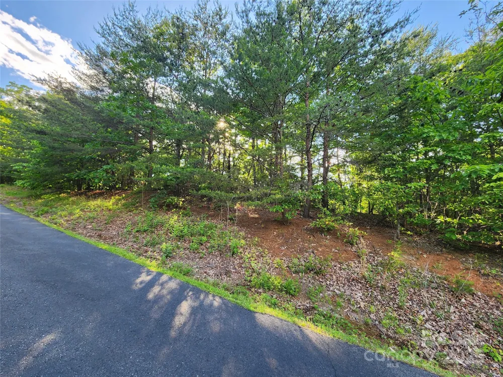 30 Mountain Lookout Drive Bostic, NC 28018