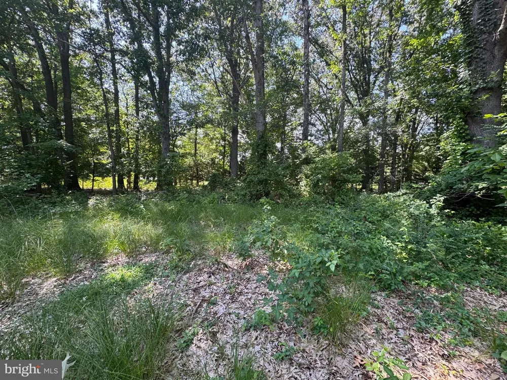 4907 QUINCE STREET Shady Side, MD 20764