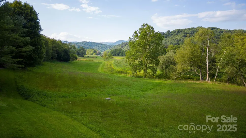 2161 River Bend Road Mouth of Wilson, VA 24363