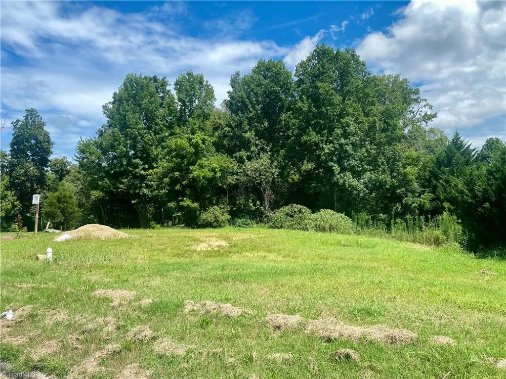 0 Sprucewood Court Archdale, NC 27263