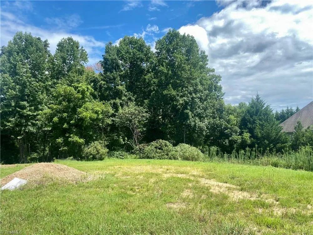 0 Sprucewood Court Archdale, NC 27263