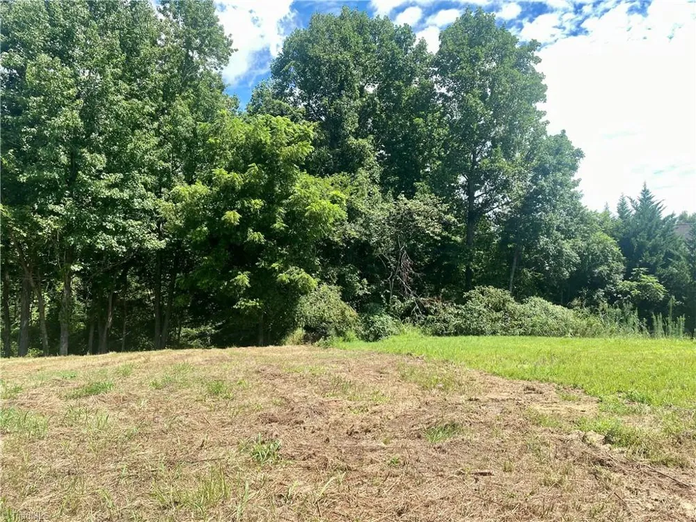 0 Sprucewood Court Archdale, NC 27263