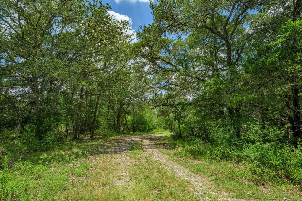 4900 Andreas Road Round Top, TX 78954