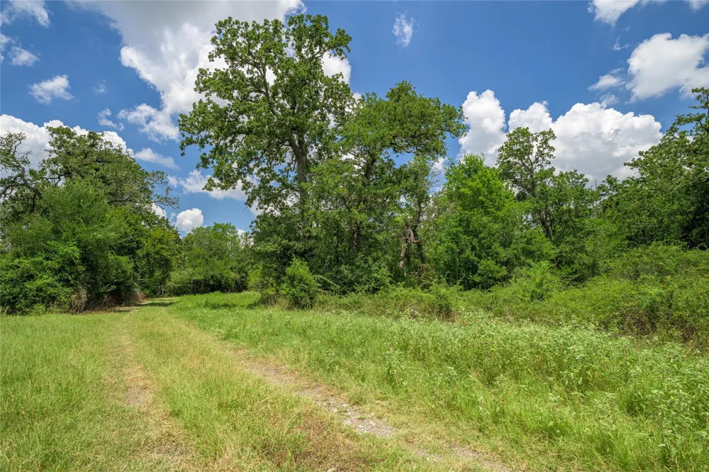 4900 Andreas Road Round Top, TX 78954