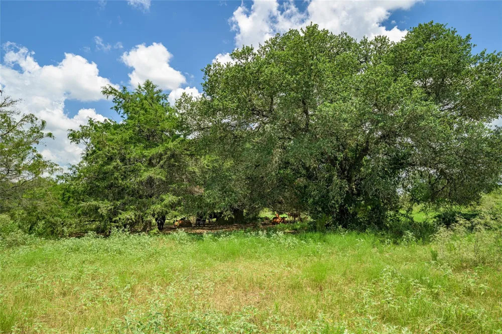 4900 Andreas Road Round Top, TX 78954